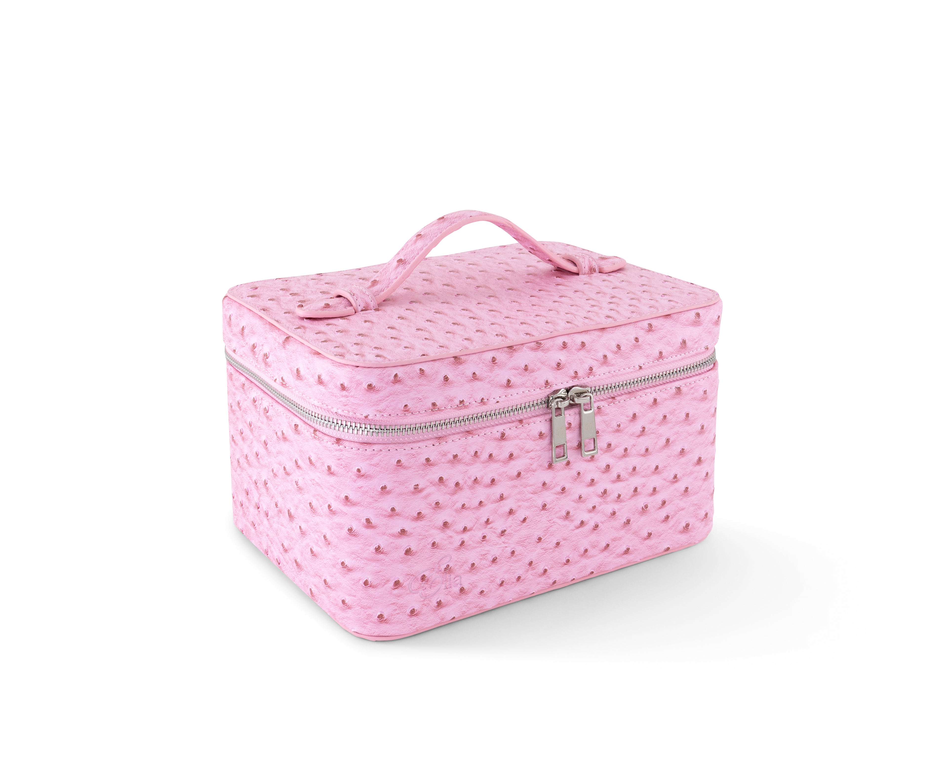 Ostrich Signature Vanity Case- Medium